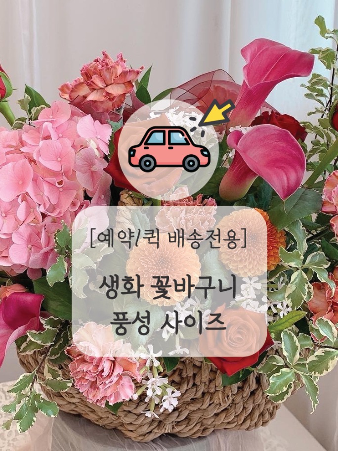 인천 꽃배달